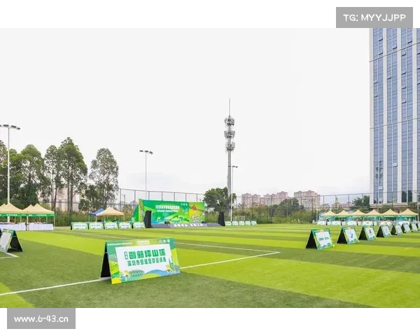 体育赛事公司全方位深度介绍书展示赛事策划执行经验团队实力未来愿景