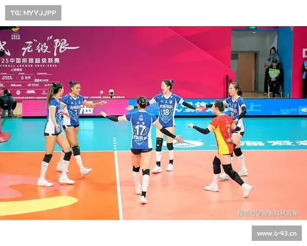 体育频道赛事直播排球