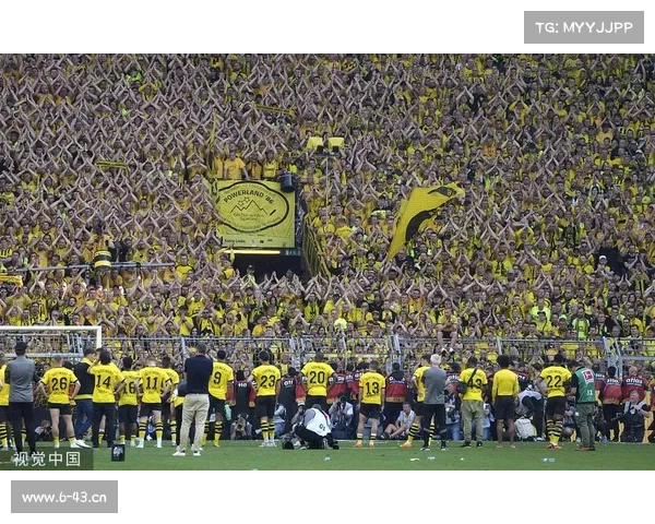 德甲免费赛事直播实时强势登场球迷零成本畅享高清激情足球盛宴