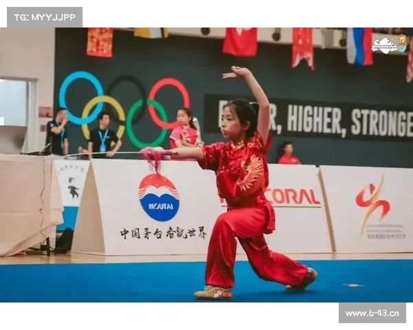 新加坡武术比赛