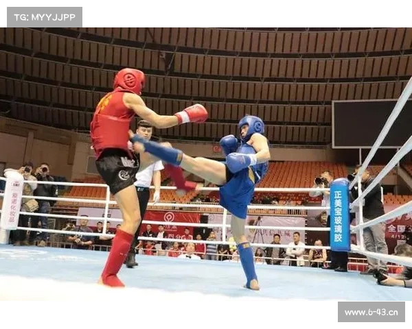 自由搏击c级赛事